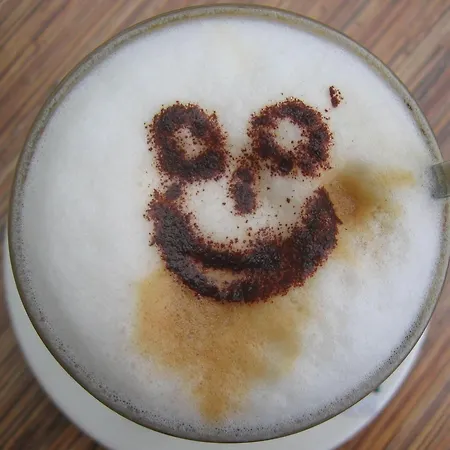 Badische Landoase Apartahotel Kehl