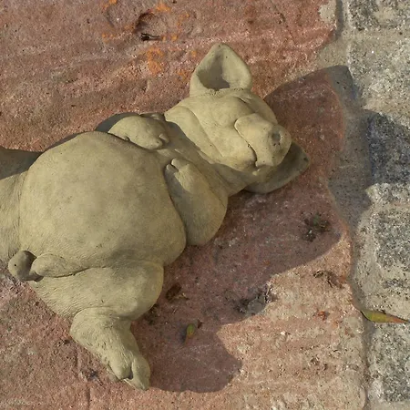 Badische Landoase Kehl