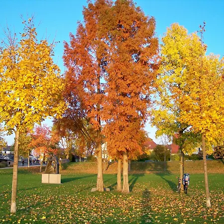Badische Landoase Apartahotel Kehl
